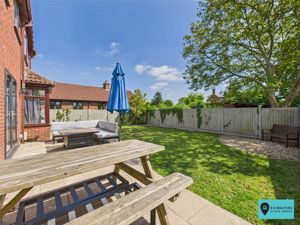 South Facing Garden- click for photo gallery
